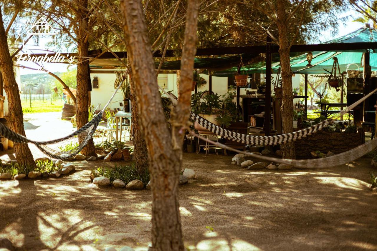 Fernabella'S Lodge Valle de Guadalupe Exterior foto